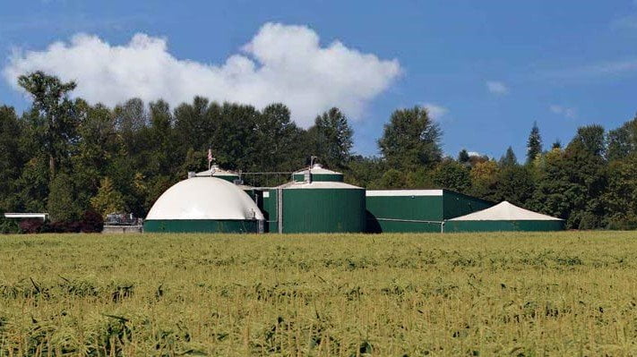 history of Stahlbush Island Farms