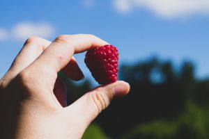 hand holding a red raspberry against a blue sky
