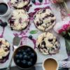 Organic Blueberries - 3lbs. - Image 7