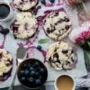 Organic Blueberries - 3lbs. - Image 7