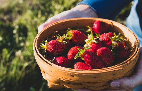 Stahlbush Island Farms Sustainable Frozen Vegetables ripe ripe strawberries in a basket