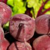 Sliced Beets - Image 4