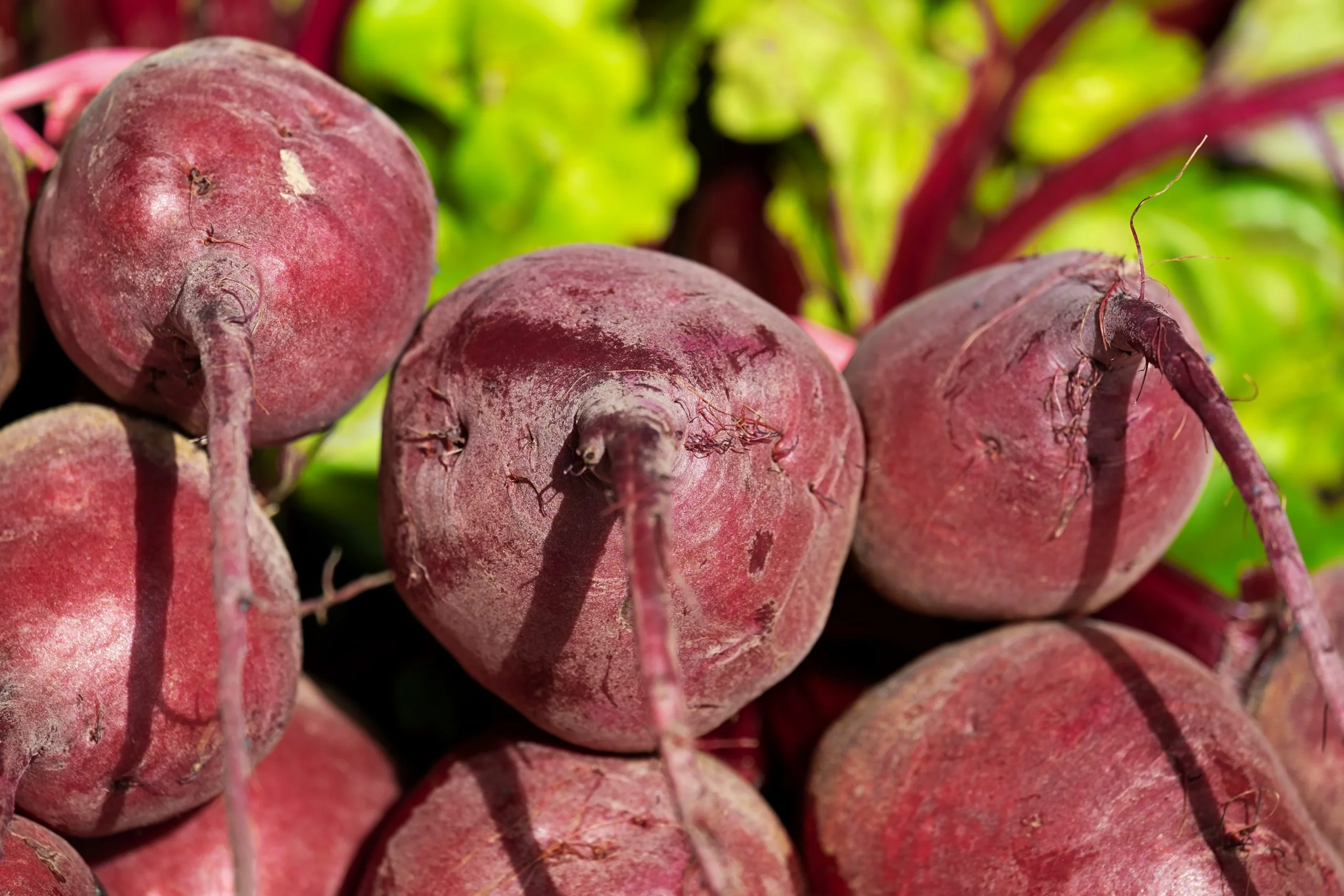 Sliced Beets - Image 4