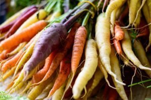 Stahlbush Island Farms Tri Colored Carrots in Field