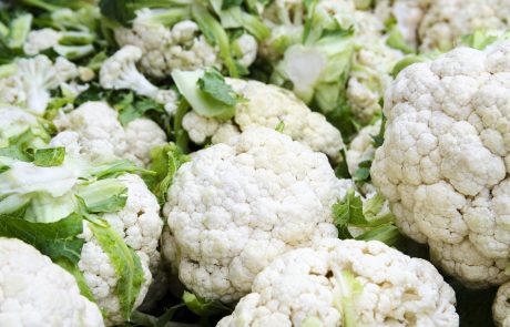 White Cauliflower In The Field Stahlbush Island Farms Sustainable Frozen Vegetables Cauliflower