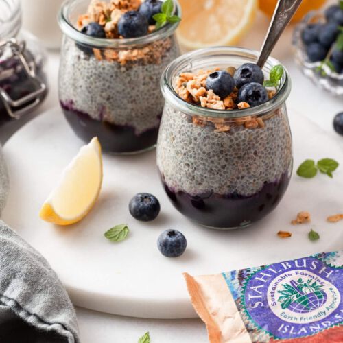 Blueberry Lemon Chia Pudding