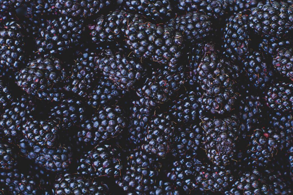 STahlbush Blackberries