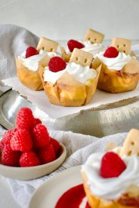 Raspberry Marble Mini Cheesecakes