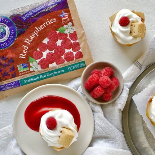 Raspberry Marble Mini Cheesecakes
