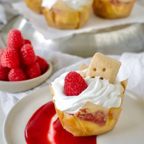 Raspberry Marble Mini Cheesecakes