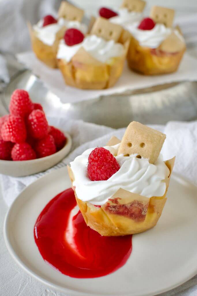 Raspberry Marble Mini Cheesecakes