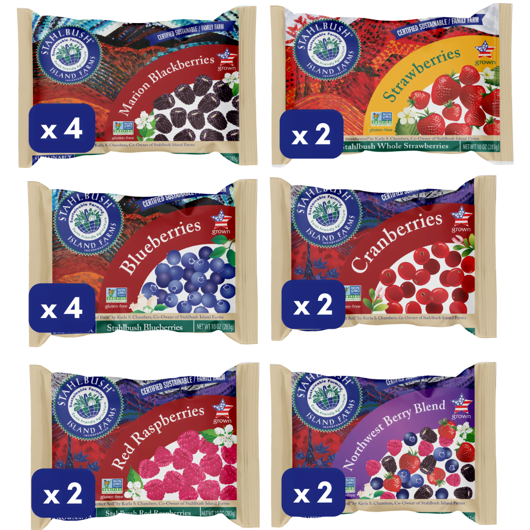 Big Bag Variety Pack - All 4 Flavors of Famous 10oz Big Bags